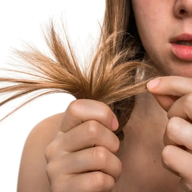 Brittle Hair & Split Ends
